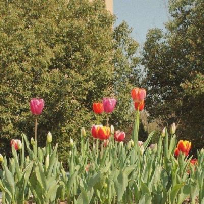 万博ManBetX手机版登录官网