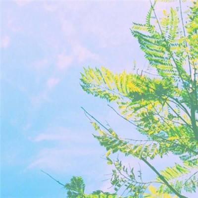 金沙乐娱app下载官网版